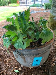 Plant In Outdoor Pot, Angel Yard Art, Angel Wind Chime Yard Art, Cat Yard Art