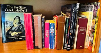 R7 Book Lot The Far Side Gallery Hardcover, How Come Christmas, Clueless George Goes To War, Garden Cooking