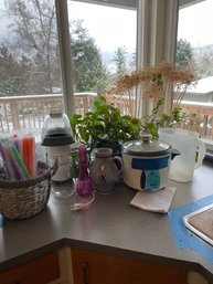 Pitcher, Glass Vase, Plant Basket, Plants And Pottery Planters