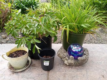 R00 Assortment Of Outdoor Plants And Garden Items. Includes: Multiple Potted Plants Assorted Planters (plastic