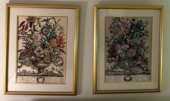 Set Of Autumn And Summer Floral Prints