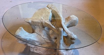 Organic Driftwood Root Coffee Table With Glass Top