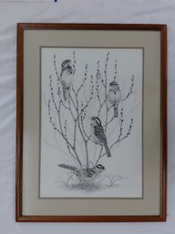 Thomas Ford Bird Print - 104/250 - Wood Frame