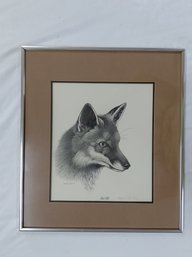 Thomas Ford Red Fox Print - 70/250 - Silver Frame