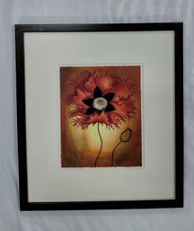 'Curlilocks Poppy' 2004 By Gianna Morrino - Signed - Wood Frame