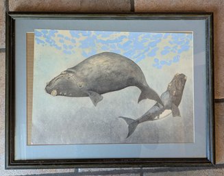 Watercolor Painting By Whale And Calf By Andrea Collesano