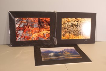 Lot Of 3 24 X 18 Landscape Photos Mounted On Black Posterboard
