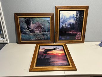 Lot Of 3 Wooden Framed Photos - 24' X 20.5'