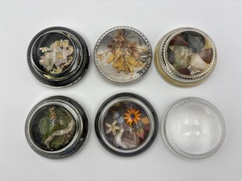 Lot Of 6 Vintage Glass Flowers Of Colorado Paperweight Domes