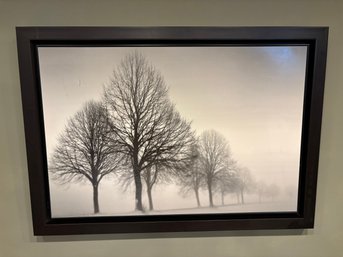 Framed Print Of Winter Trees By Ilona Wellman 41 X 29