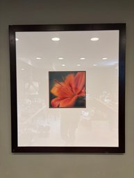 Vintage 34 X 38 Modern Flower Hibiscus Print