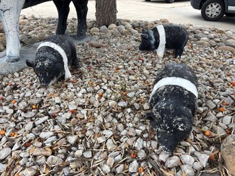 Vintage Heavy Cement Pigs Piglets Set Of 3 Lawn Yard Decor Hampshire Pig