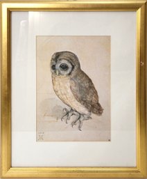 Albert Durer Owl Print In Gold Frame