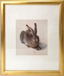 Alfred Durer Hare Print In Gold Frame