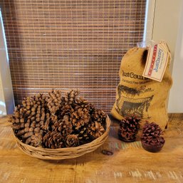 Pinecone Fire Starters And Decorative Pinecones