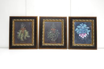 Framed Herb And Vegetable Prints Set Of Three