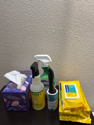 Bathroom Cleaning Lot
