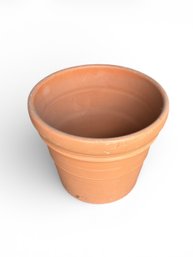 Plant Pot