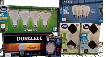 Light Bulb Bundle