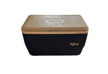 Igloo Cooler