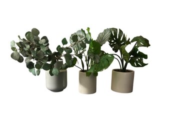 3 Artificial  Plants