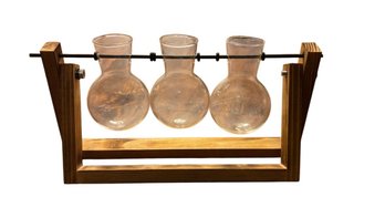 Hydroponic Plant Terrarium