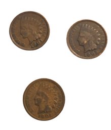 3- United States Indian Head Cents