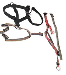 Small Dog Harnesses & Collars