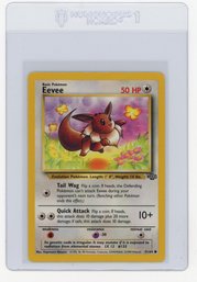 1999 Pokemon Jungle Eevee Pokemon Card