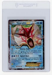 2016 Pokemon XY Gyarados EX Black Star Promo Pokemon Card