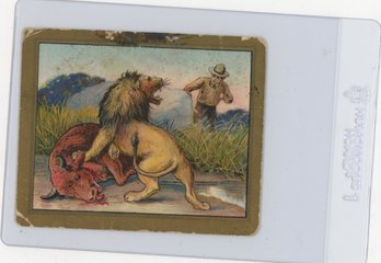 1910 Turkish Trophies Fable Series The Herdsman And The Bull Card