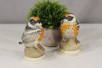Pair Of Boehm Fledgling Blackburnian Warbler Figurines - Exquisite Hand-Painted Porcelain