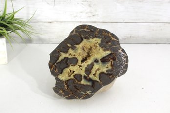 Polished Septarian Nodule Geode With Crystals  7' X 5.5'  Natural Mineral Specimen