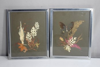 Pair Of Vintage Pressed Botanical And Butterfly Artwork In Frames