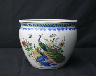 Peacock Print Design Planter