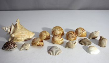 'Collection Of Assorted Seashells - Coastal Decor Or Crafting Set'