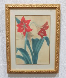 Antique Botanical Watercolor Of Red Amaryllis  Hand-Painted Floral Study  Gilt Frame  21' X 17'