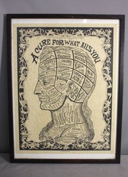 A Cure For What Ails You Phrenology Drugs Medical Apothecary Poison Poster