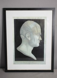 Dr. Spurzheim--divisions Of The Organs Of Phrenology Marked Externally