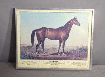 'The Celebrated Horse Lexington' - Historic Racing Print