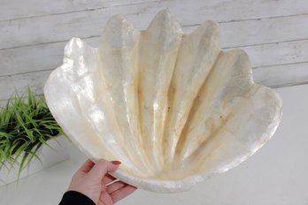 Large Capiz Clam Shell Decorative Bowl  16 X 12  Coastal Beach Nautical Dcor