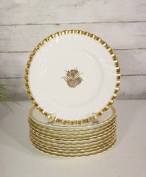 Set Of 11 Vintage Royal Worcester Gold Trim 8' Salad Plates  Floral Motif, England