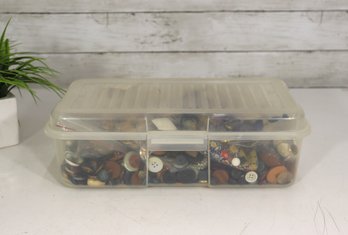 Large Lot Of Vintage Buttons  Assorted Sewing Buttons In Storage Box