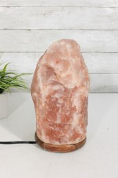 Himalayan Pink Salt Lamp  Natural Rock Crystal W/ Wood Base  10.5' Tall