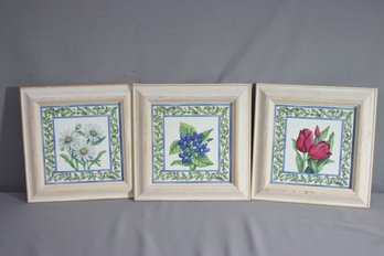 Set Of 3  9 X 9 Floral Prints