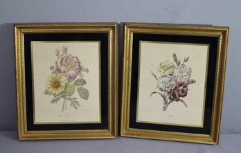 Pair Of Vintage Lithography, Art Print By P.J Redoute-15' X 13'
