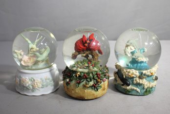 Charming Trio Of Vintage Snow Globes - Hummingbird, Cardinals, And Dolphins