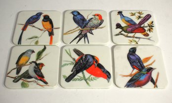 Set Of 6 Bird-Themed Ceramic Coasters With Felt Backing