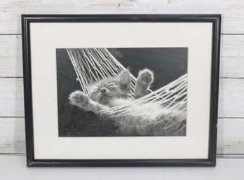 Framed Black & White Kitten Hammock Print  Cute Cat Photography Wall Art  12' X 15'