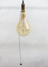 Edison Style Hanging Light Bulb With Pull Chain, Amber Glass